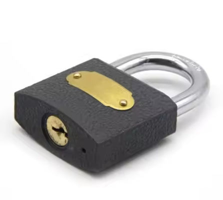 天気防護 鋳鉄のロック 重用品 調整可能